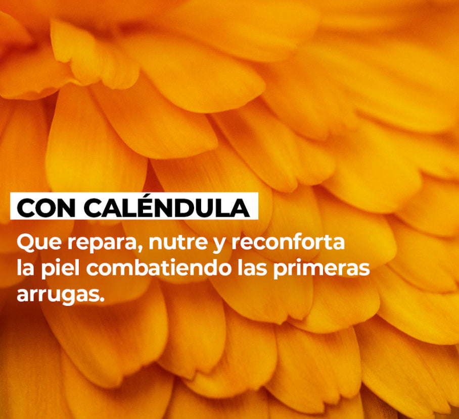 Crema Caléndula Anti Arrugas día y noche